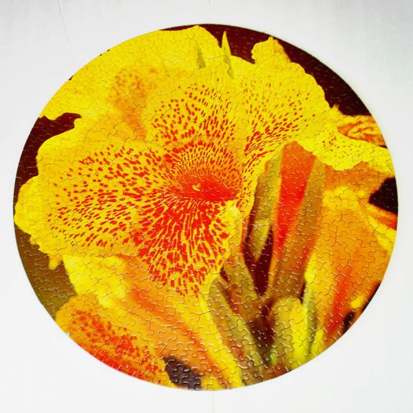 Beauty Unfolding Springbok Canna Lilies Puzzle Complete #2