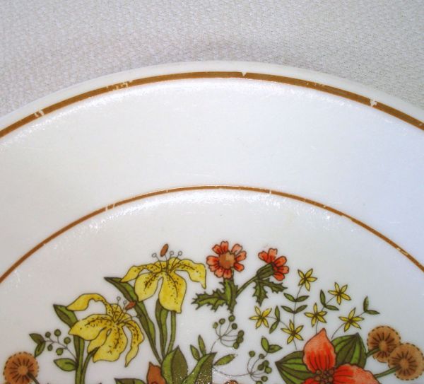 Corelle Indian Summer 4 Salad or Lunch Plates 8.5 Inch #3