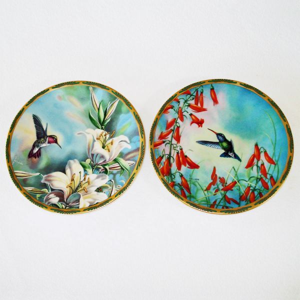 Pickard Hummingbirds Plates, Complete Set of 8 #5