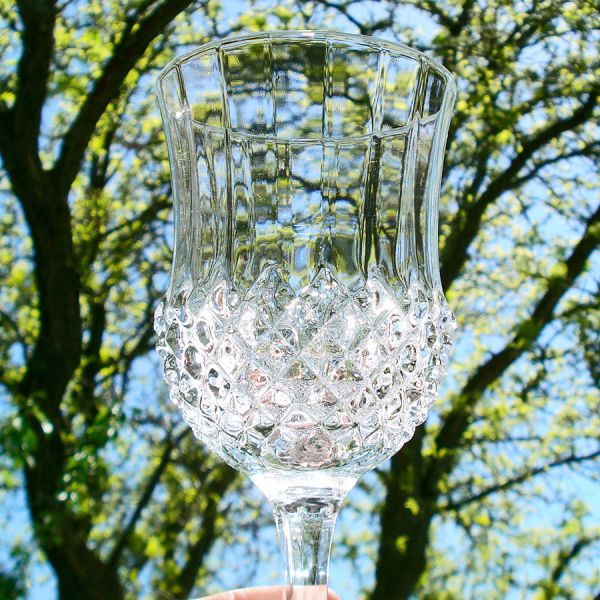 Cristal D'Arques Longchamp Water Goblets Pair #3