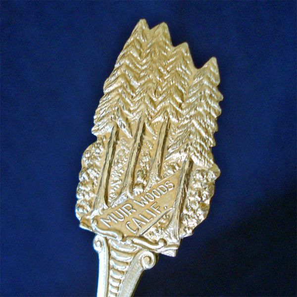 Muir Woods California Silverplate Souvenir Spoon #3