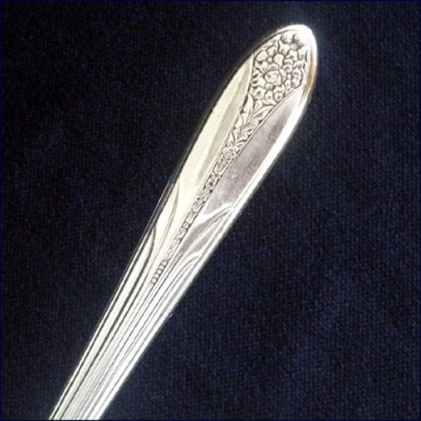 Princess Royal National Silver Silverplate Grille Knife #2