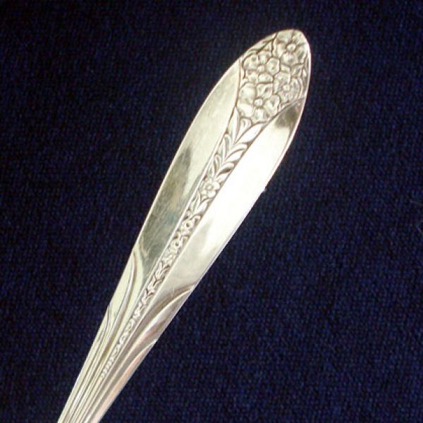 Princess Royal National Silver Silverplate Cold Meat Fork #2
